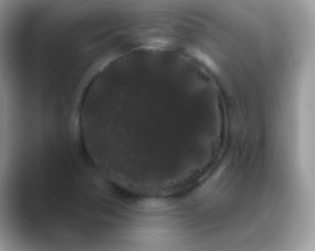 X0000089761362200707051826