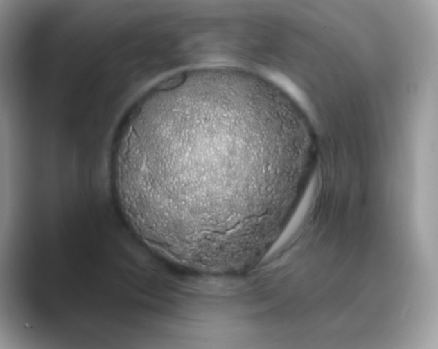 X0000089761364200707051826