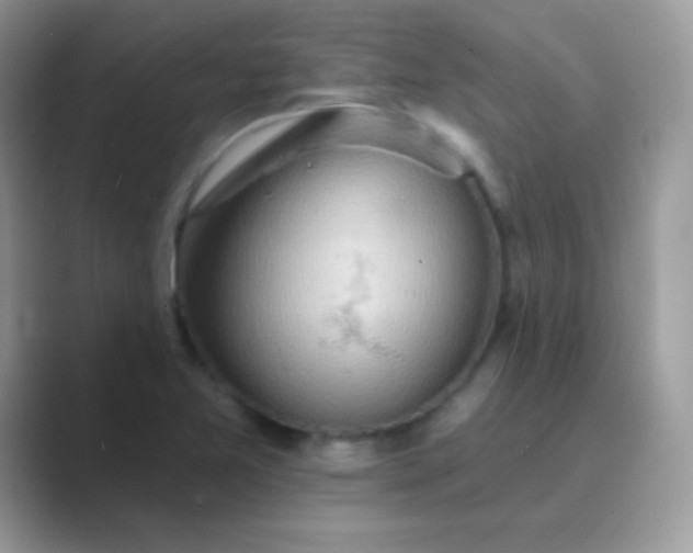 X0000089761365200707051825