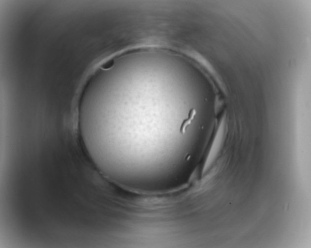 X0000089761366200707051825