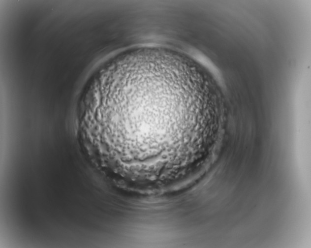 X0000089761368200707051825