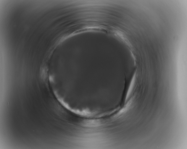 X0000089761369200707051825