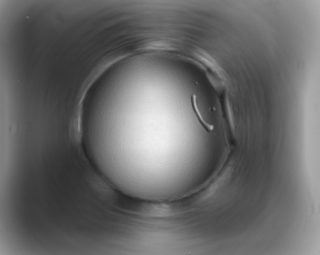 X0000089761370200707051825