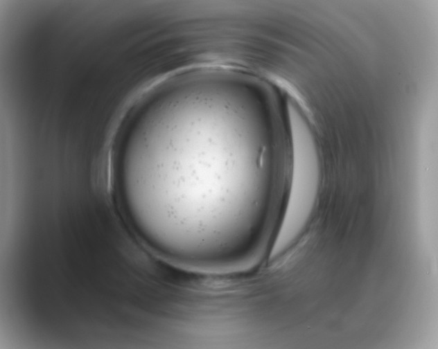 X0000089761371200707051825