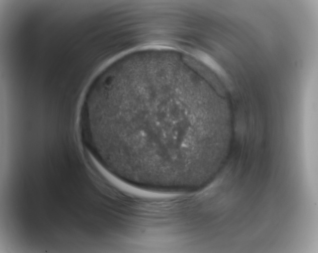 X0000089761372200707051825