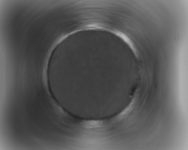 X0000089761373200707051825