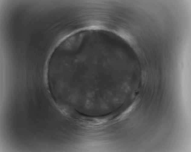 X0000089761374200707051825