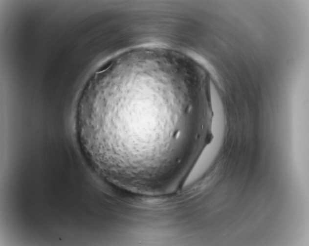 X0000089761375200707051825