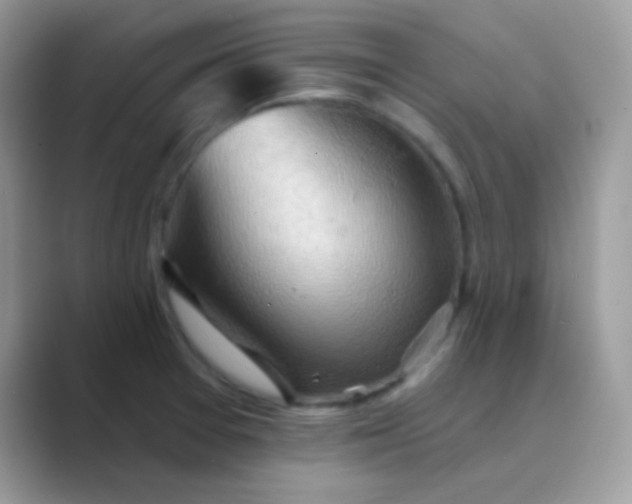 X0000089761377200707051825