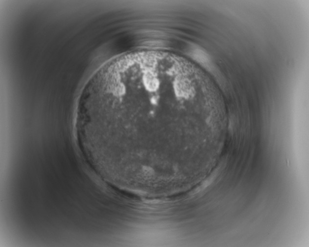 X0000089761378200707051825