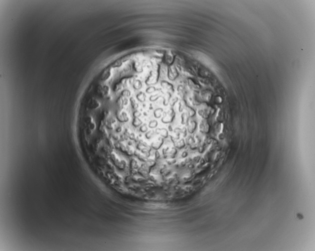 X0000089761379200707051825