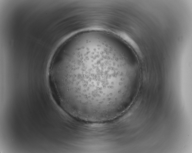 X0000089761380200707051825