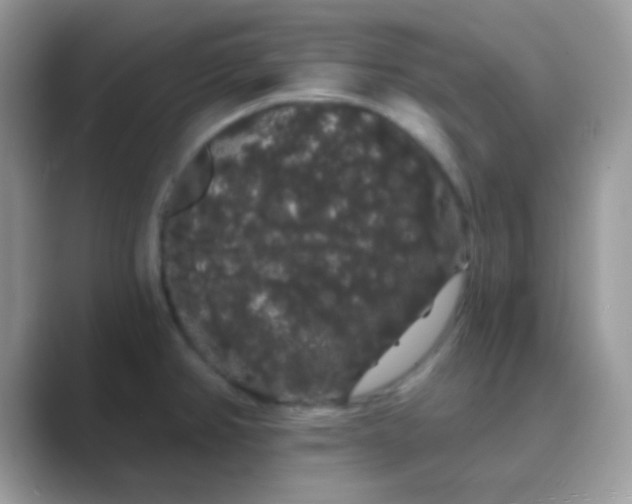 X0000089761382200707051825