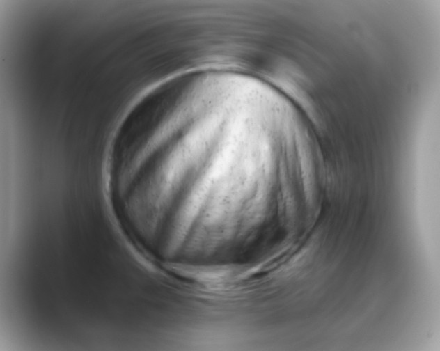 X0000089761383200707051825