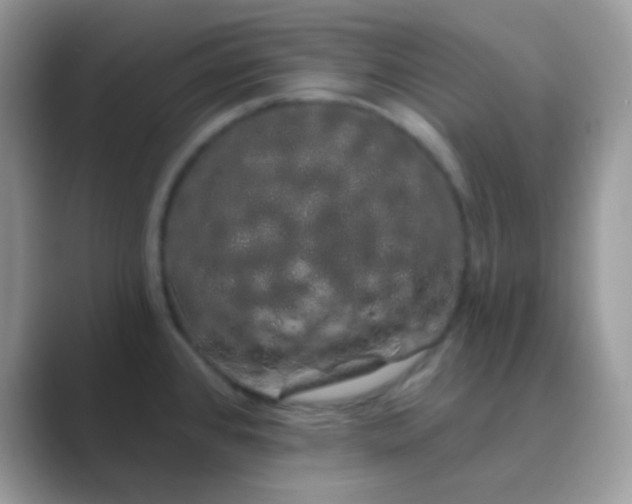 X0000089761384200707051825