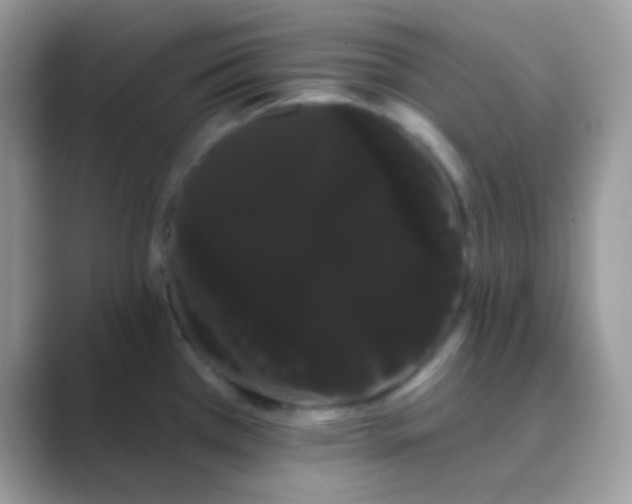 X0000089761385200707051825