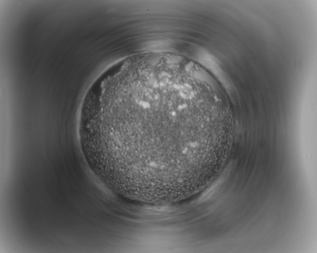 X0000089761386200707051825