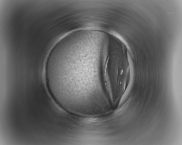 X0000089761387200707051825