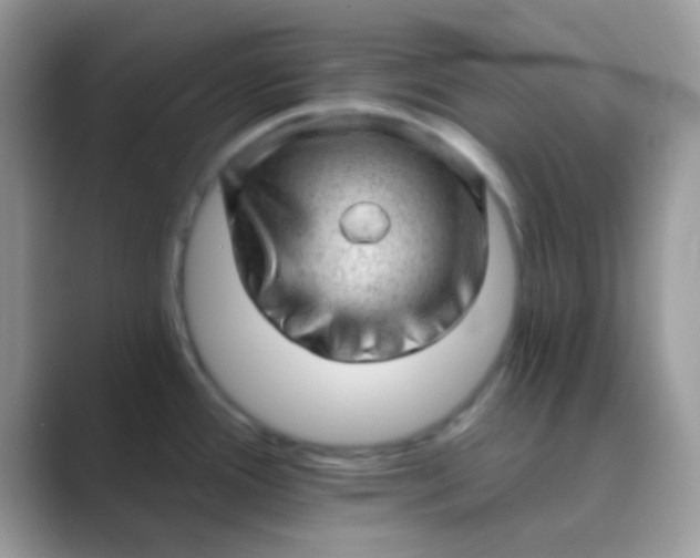 X0000089761388200707051825