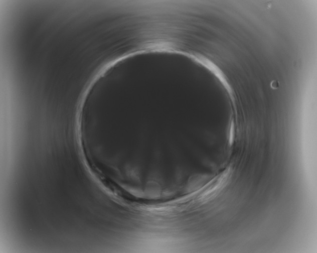 X0000089761389200707051825