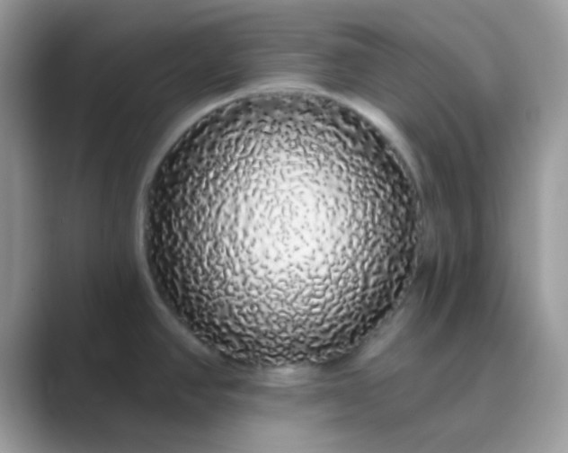 X0000089761390200707051825