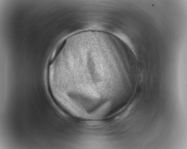 X0000089761391200707051825