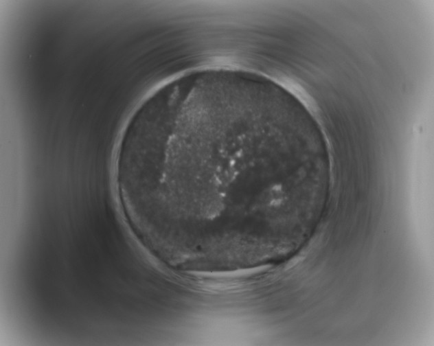 X0000089761392200707051825