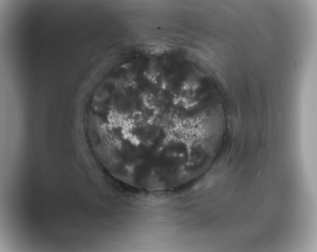 X0000089761393200707051825