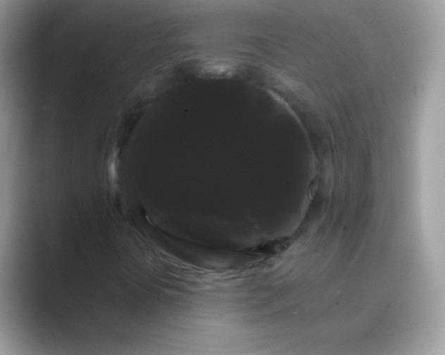 X0000089761394200707051825