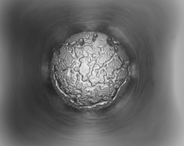 X0000089761395200707051825