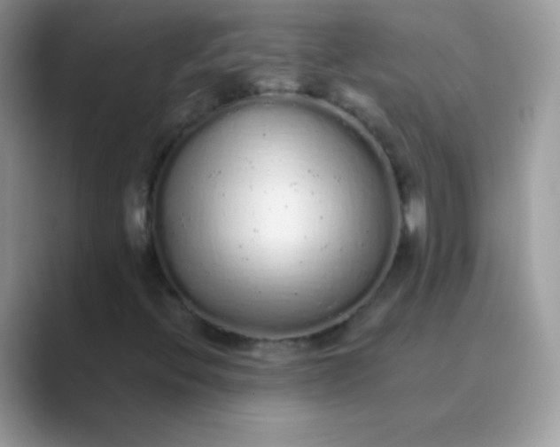 X0000089761396200707051825