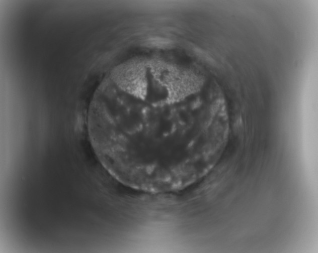 X0000089761397200707051825