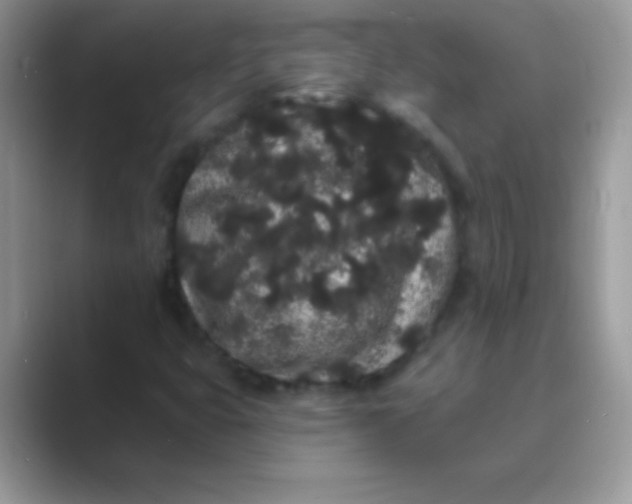 X0000089761399200707051825