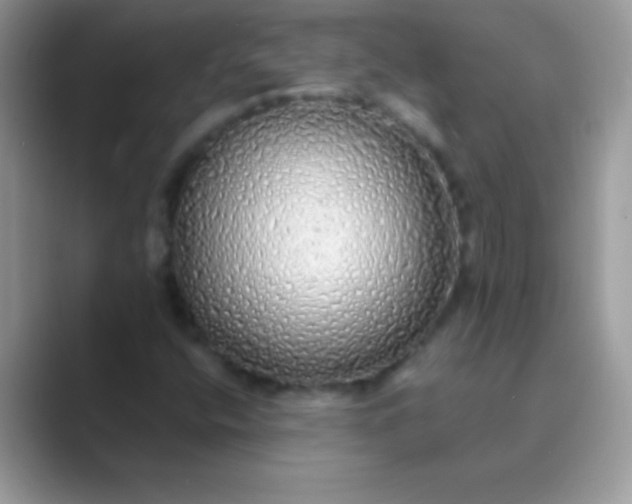 X0000089761400200707051825