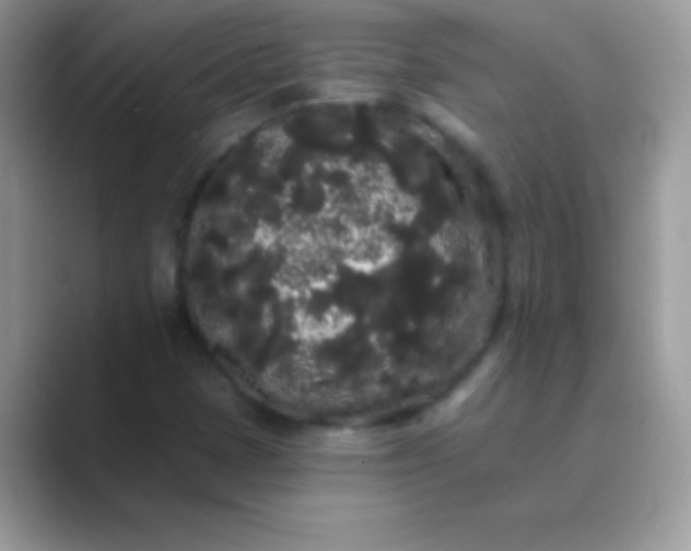 X0000089761401200707051825