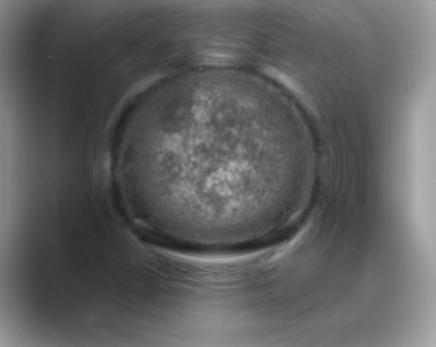 X0000089761402200707051825