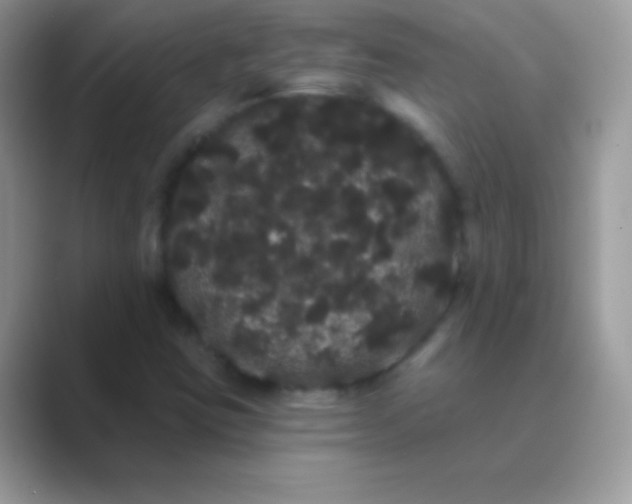 X0000089761403200707051825