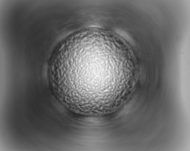 X0000089761404200707051825