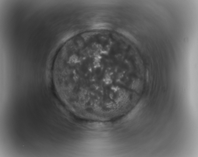 X0000089761405200707051825