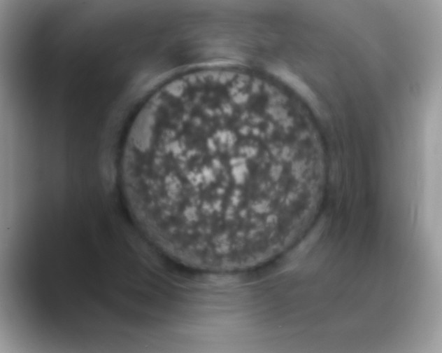 X0000089761407200707051825