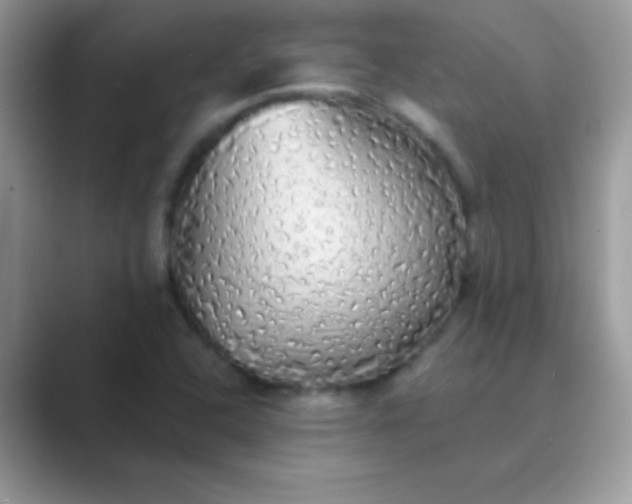 X0000089761408200707051825