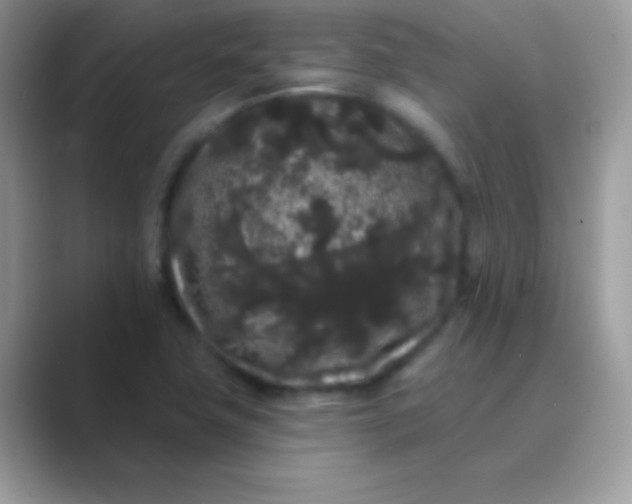 X0000089761411200707051825