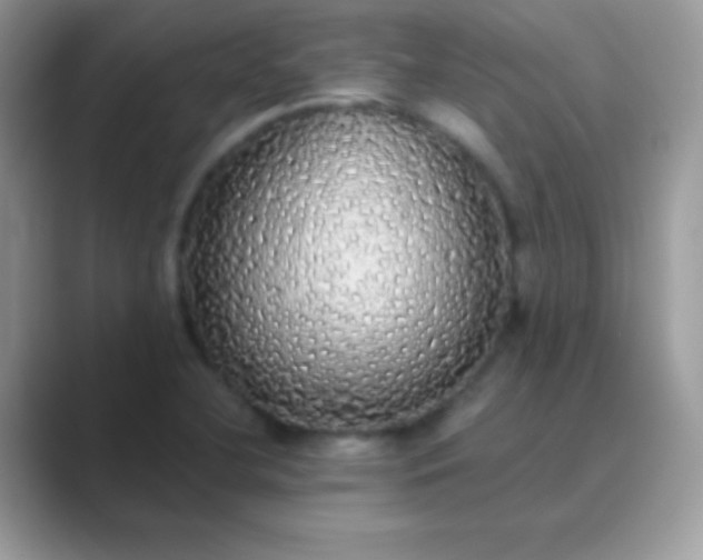 X0000089761412200707051825