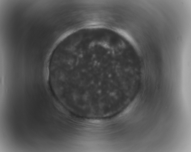 X0000089761413200707051825