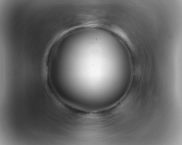 X0000089761414200707051825