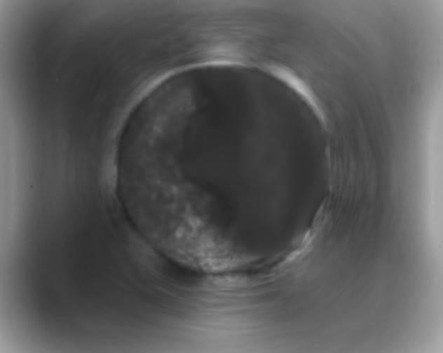 X0000089761415200707051825