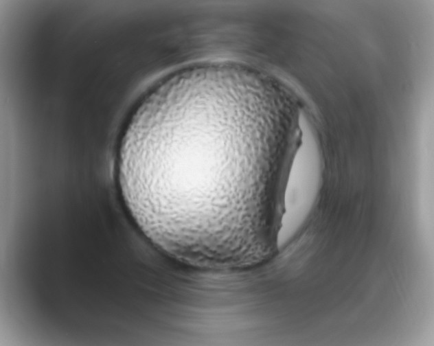 X0000089761416200707051825