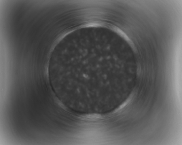 X0000089761417200707051825