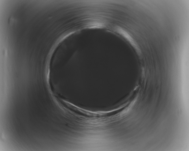 X0000089761418200707051825