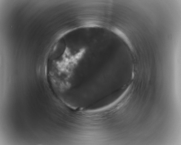 X0000089761419200707051825